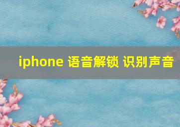 iphone 语音解锁 识别声音